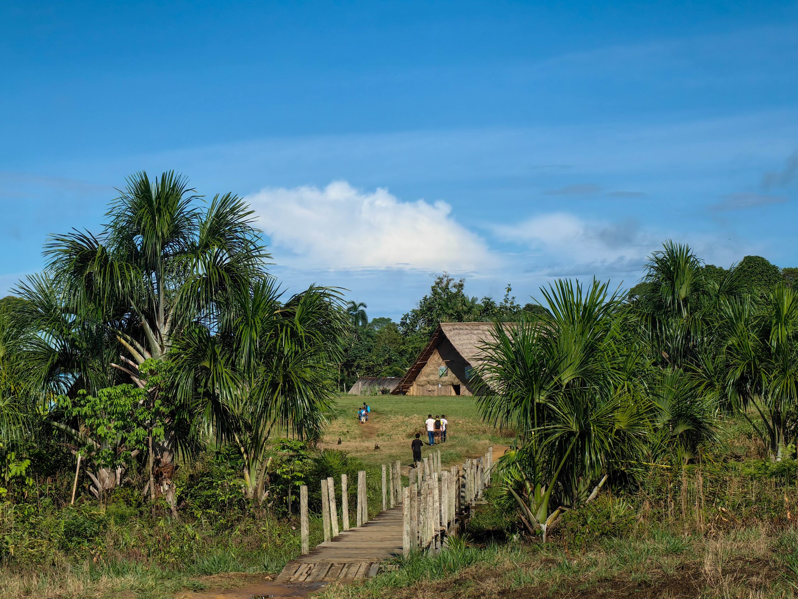 The authors propose that Indigenous contributions be fully incorporated into national climate change policies. Image courtesy of Passu Creativa.